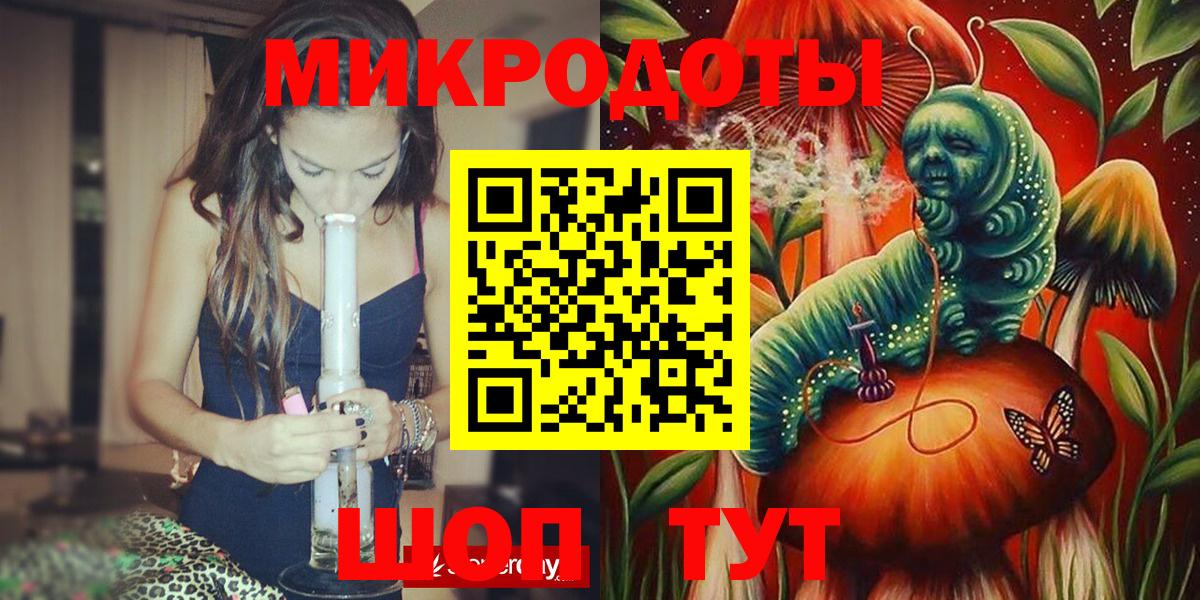 Псилоцибиновые грибы Cubensis Канаш